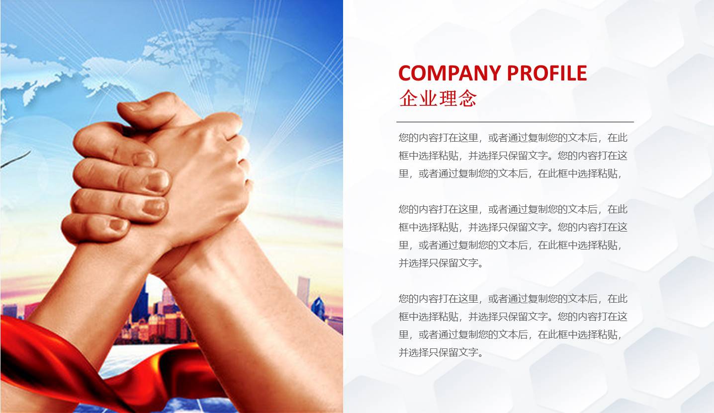 项目策划 (43).pptx